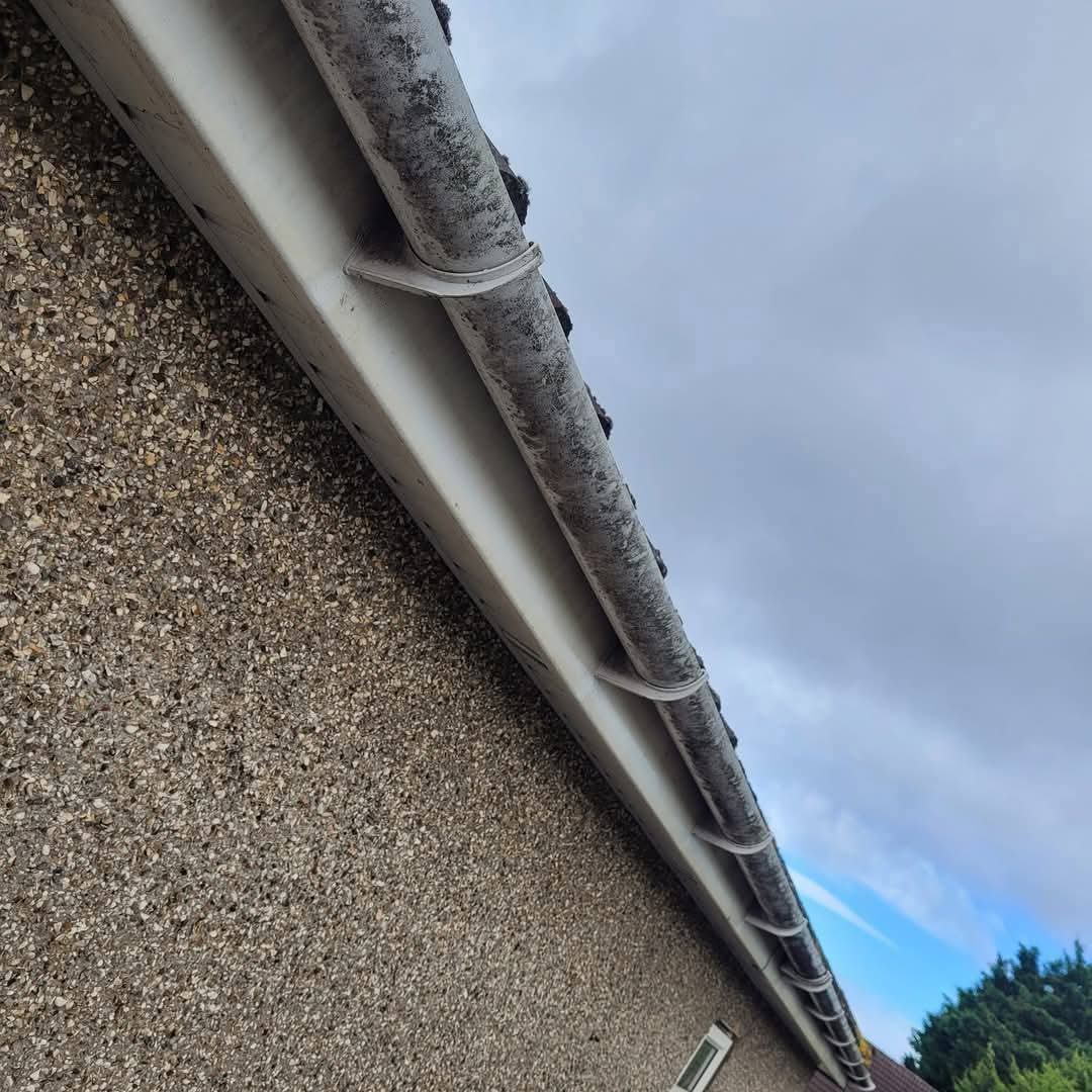Gutter run and fascia from below