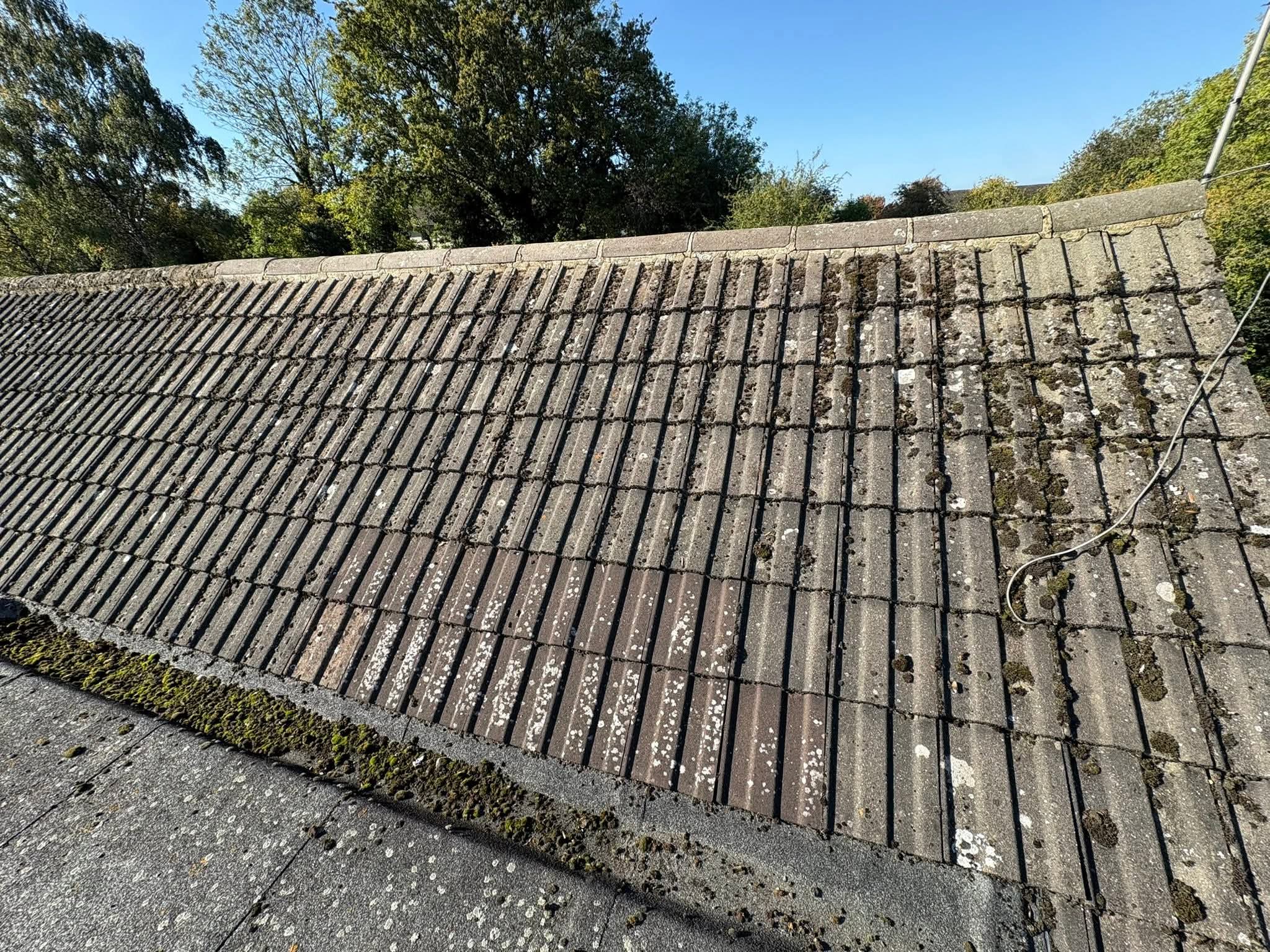Roof valley or abutment with organic growth