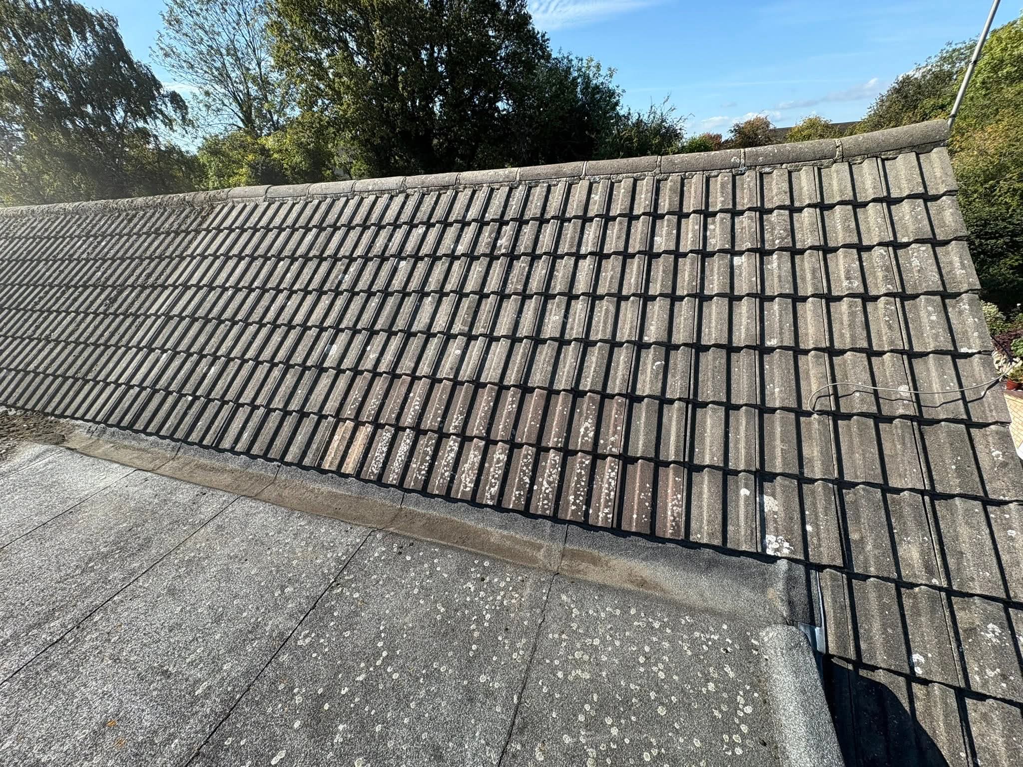 Residential roof after partial clearing