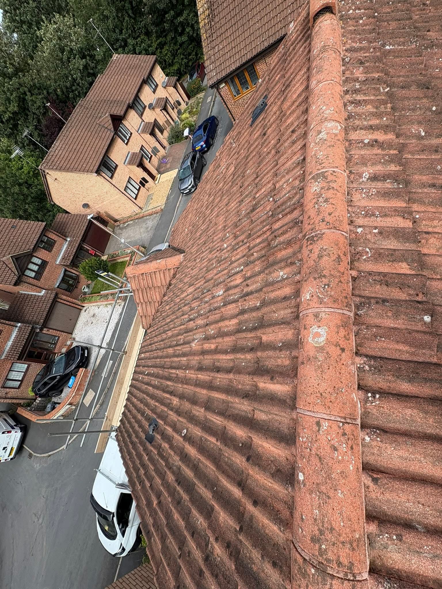 Concrete or clay tiles with surface growth