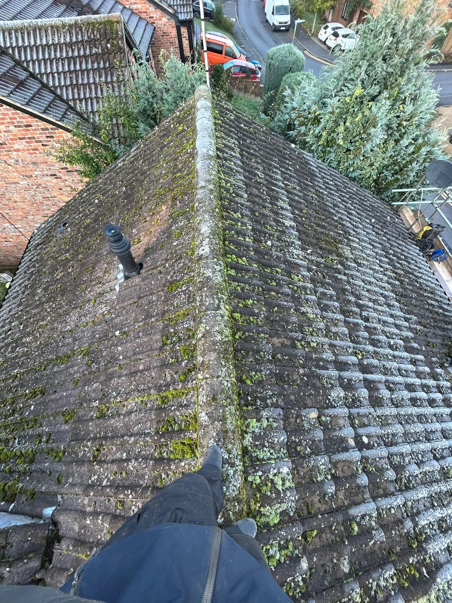 Moss removed from tile laps